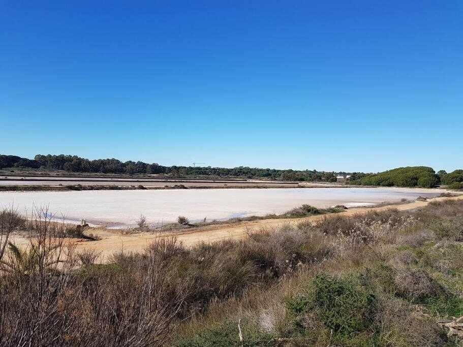 הוילה פארו Ria Formosa Pineview מראה חיצוני תמונה