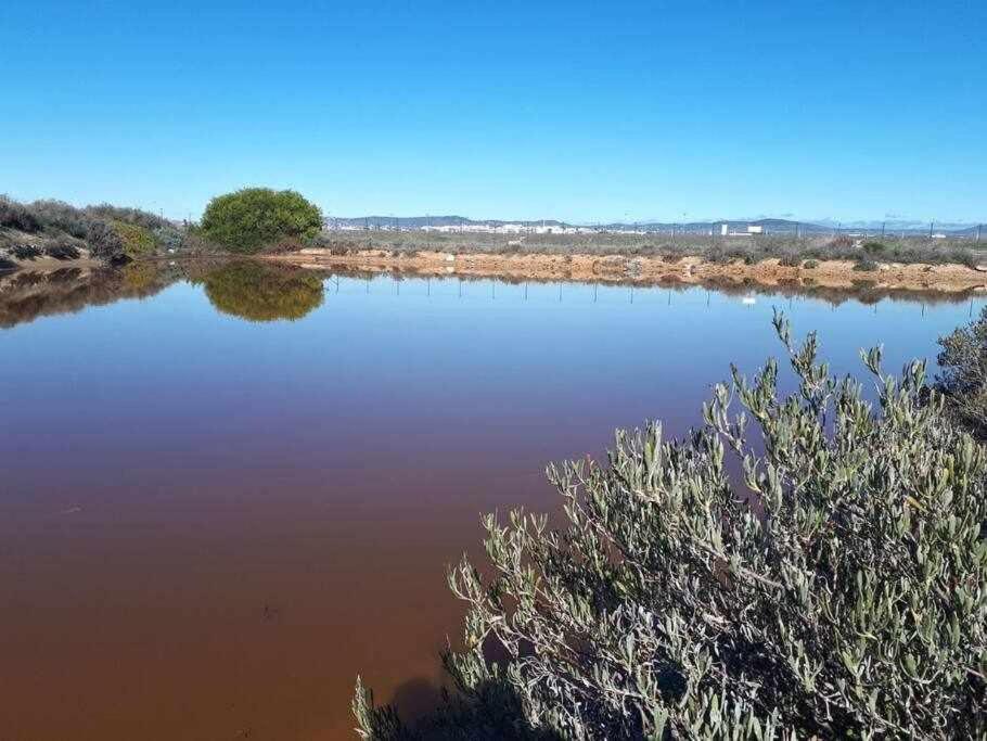 הוילה פארו Ria Formosa Pineview מראה חיצוני תמונה